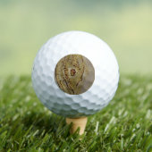 Balles De Golf GOLF BALLS BRIDGESTONE e6 (T-shirt Insitu)