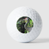 Balles De Golf Graine de Sandhill (Recto)