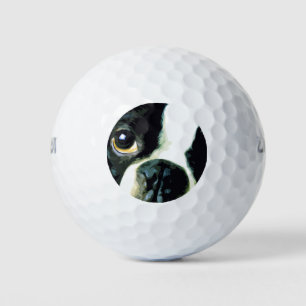 Balles De Golf grand Boston Terrier moderne