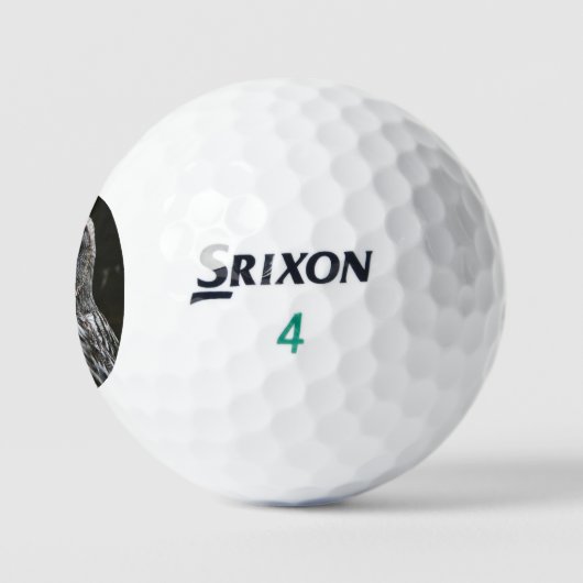 Balles De Golf Grande Chouette gris ssf gbcnm (Logo)