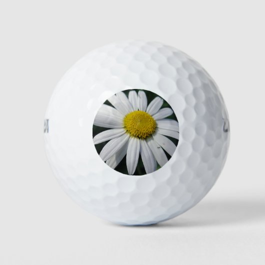 Balles De Golf Grande Marguerite Blanche (Devant)
