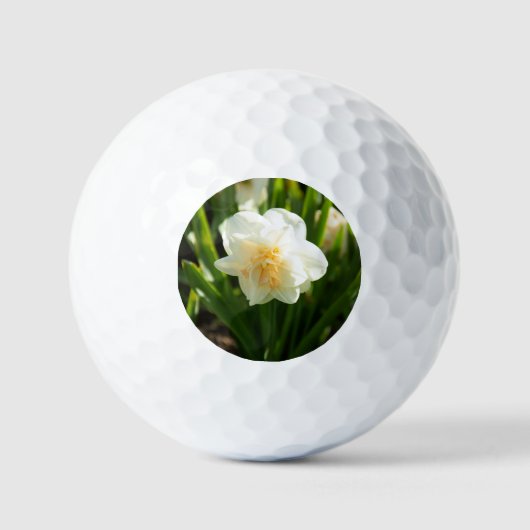 Balles De Golf Grands jonquilles blancs par un jour de printemps (Recto)