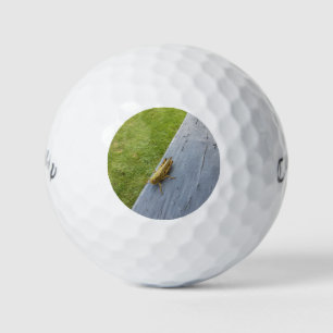 Balles De Golf Grasshopper