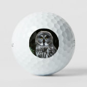 Balles De Golf Great Grey Owl tpv1 gbcna (Recto)