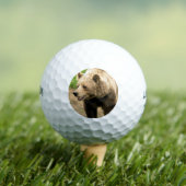 Balles De Golf Grizzly canadien (T-shirt Insitu)