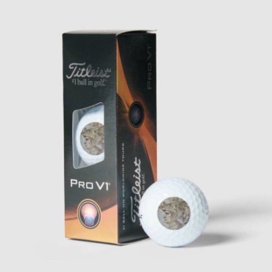 Balles De Golf Guerrier casqué de Léonard 