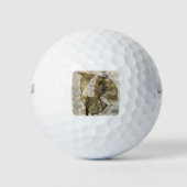 Balles De Golf HAZ25 Amazonia 3.tif (Devant)