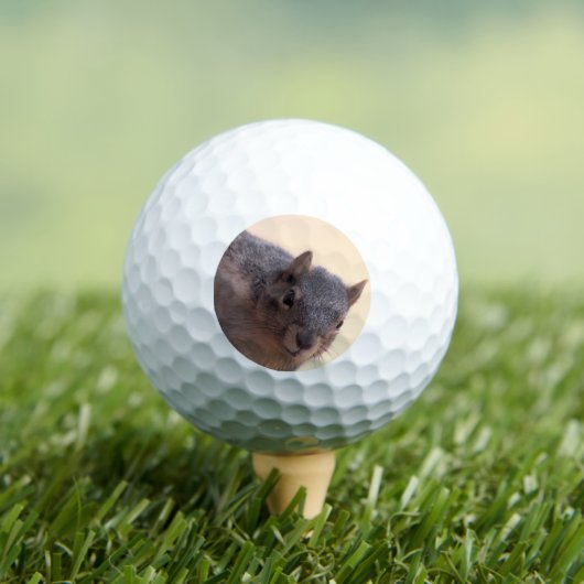 Balles De Golf Hé, là (T-shirt Insitu)