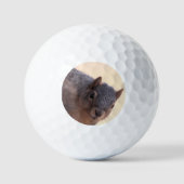Balles De Golf Hé, là (Recto)