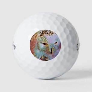 BALLES DE GOLF HIBOU
