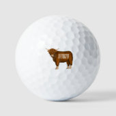 Balles De Golf Highland cow (Recto)