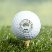 BALLES DE GOLF HIVER HAVEN FLORIDE (T-shirt Insitu)