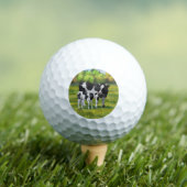 Balles De Golf Holstein Cow & Cute Calf Golf Balls (T-shirt Insitu)