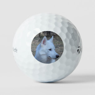 Balles De Golf husky sibérien blanc
