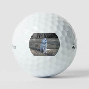 Balles De Golf husky sibérien blanc complet 2