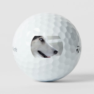 Balles De Golf husky sibérien de près seconde