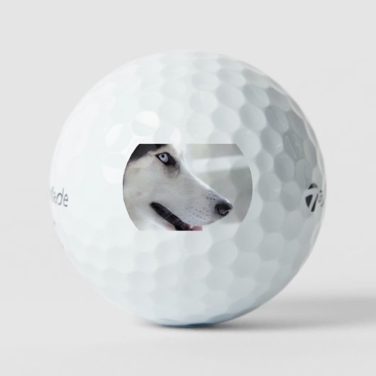 Balles De Golf husky sibérien de près seconde (Recto)