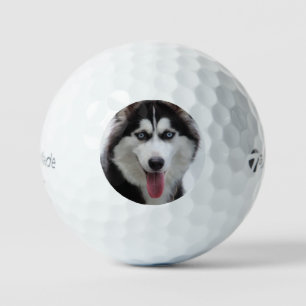 Balles De Golf husky sibérien septième