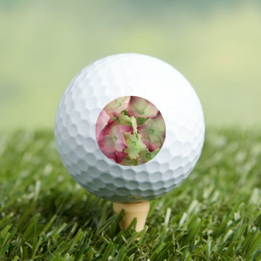 Balles De Golf Hydrangée (T-shirt Insitu)