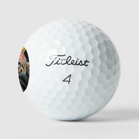 Balles De Golf Hyéna Attaque En Regardant Sa Proie, (Logo)