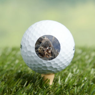 Balles De Golf Icônes amérindiennes : Guerriers Apache, Cavalerie