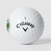 BALLES DE GOLF ÎLE DU SUD NOUVELLE-ZÉLANDE (Logo)