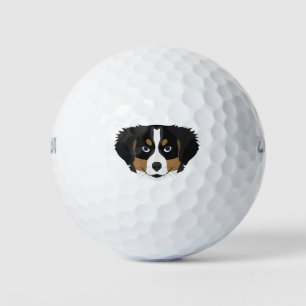Balles De Golf Illustration Bernese Mountain Dog