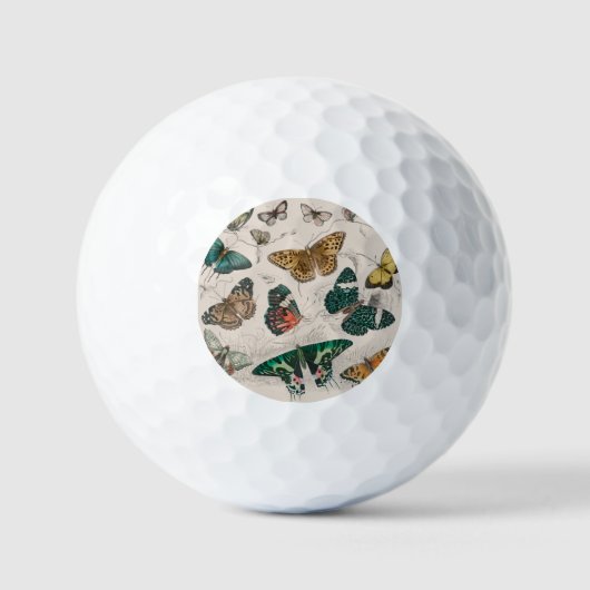 Balles De Golf Illustration de papillon antique : 1820 Orfèvre (Recto)