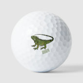 Balles De Golf Illustration d'Iguana (Recto)