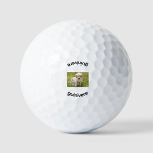 Balles De Golf Image de remplacement personnalisée