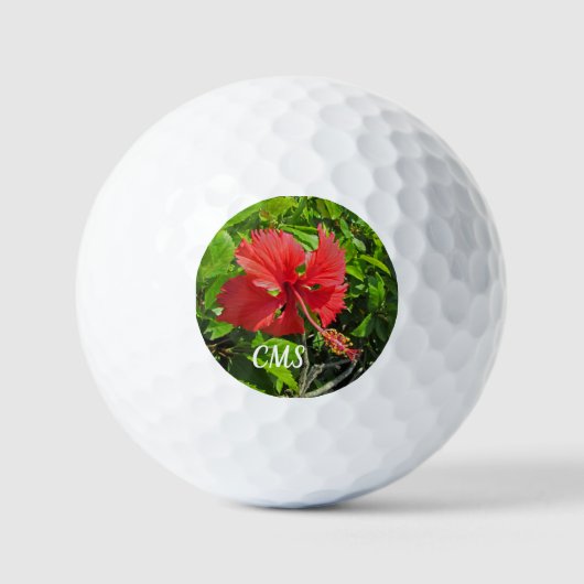 Balles De Golf Initiales de fleurs tropicales brillantes rose île (Recto)