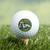 Balles De Golf Jack (T-shirt Insitu)