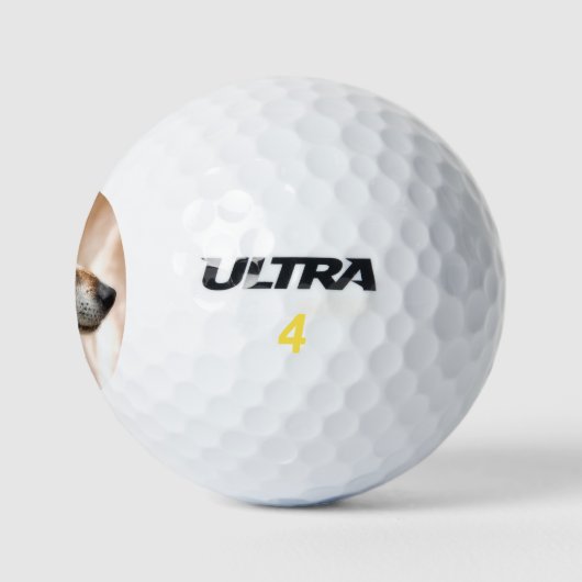 BALLES DE GOLF JACK RUSSELL TERRIER CHIEN (Logo)