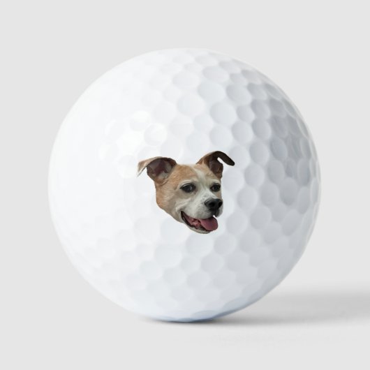 Balles De Golf Jack Russell Terrier Mix (Recto)