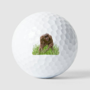 Balles De Golf Jambo Le Chimp Unique Sans Cheveux