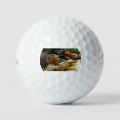Balles De Golf Jimmy Buffett Golf Balls (Recto)