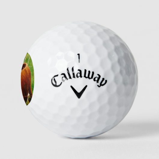 Balles De Golf Jolie vache coudée 4Cara (Logo)