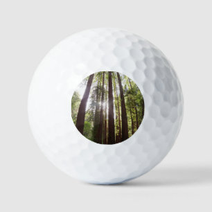 Balles De Golf Jusqu'aux séquoias au matin