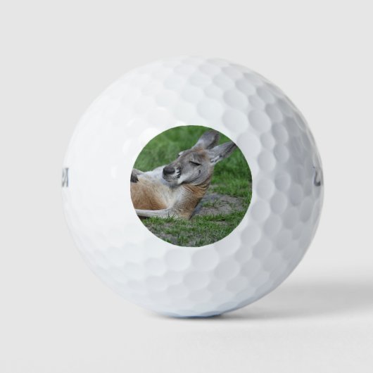 Balles De Golf Kangaroo à dos (Devant)