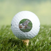 Balles De Golf Kangaroo à dos (T-shirt Insitu)