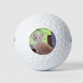 Balles De Golf Kitten (Devant)