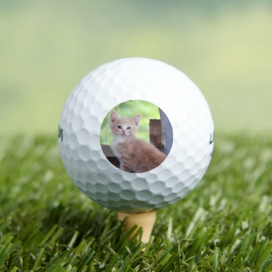 Balles De Golf Kitten (T-shirt Insitu)