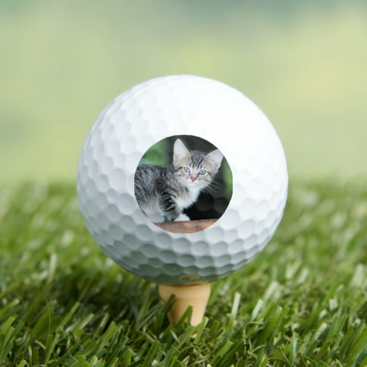 Balles De Golf Kitten (T-shirt Insitu)