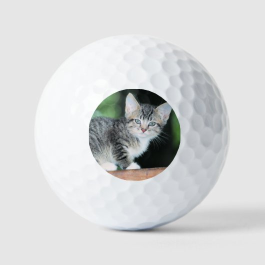 Balles De Golf Kitten (Recto)
