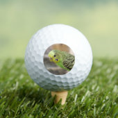 Balles De Golf Kiwi (T-shirt Insitu)