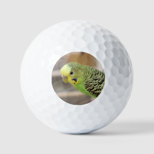 Balles De Golf Kiwi (Recto)
