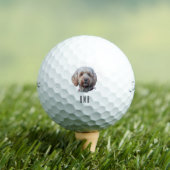 Balles De Golf Labradoodle (T-shirt Insitu)