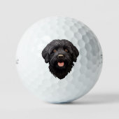Balles De Golf Labradoodle Chien noir (Recto)