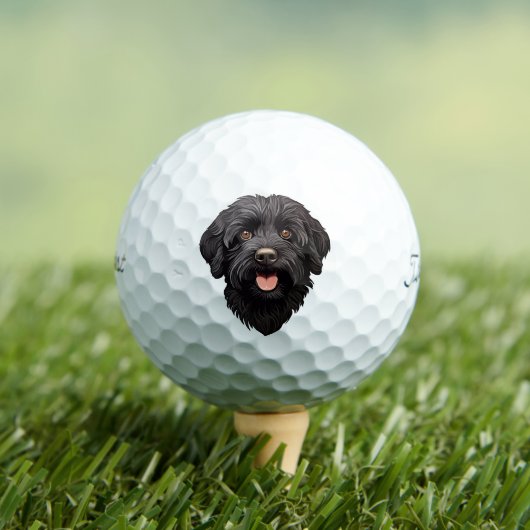 Balles De Golf Labradoodle Chien noir (T-shirt Insitu)