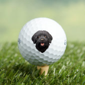 Balles De Golf Labradoodle Chien noir (T-shirt Insitu)